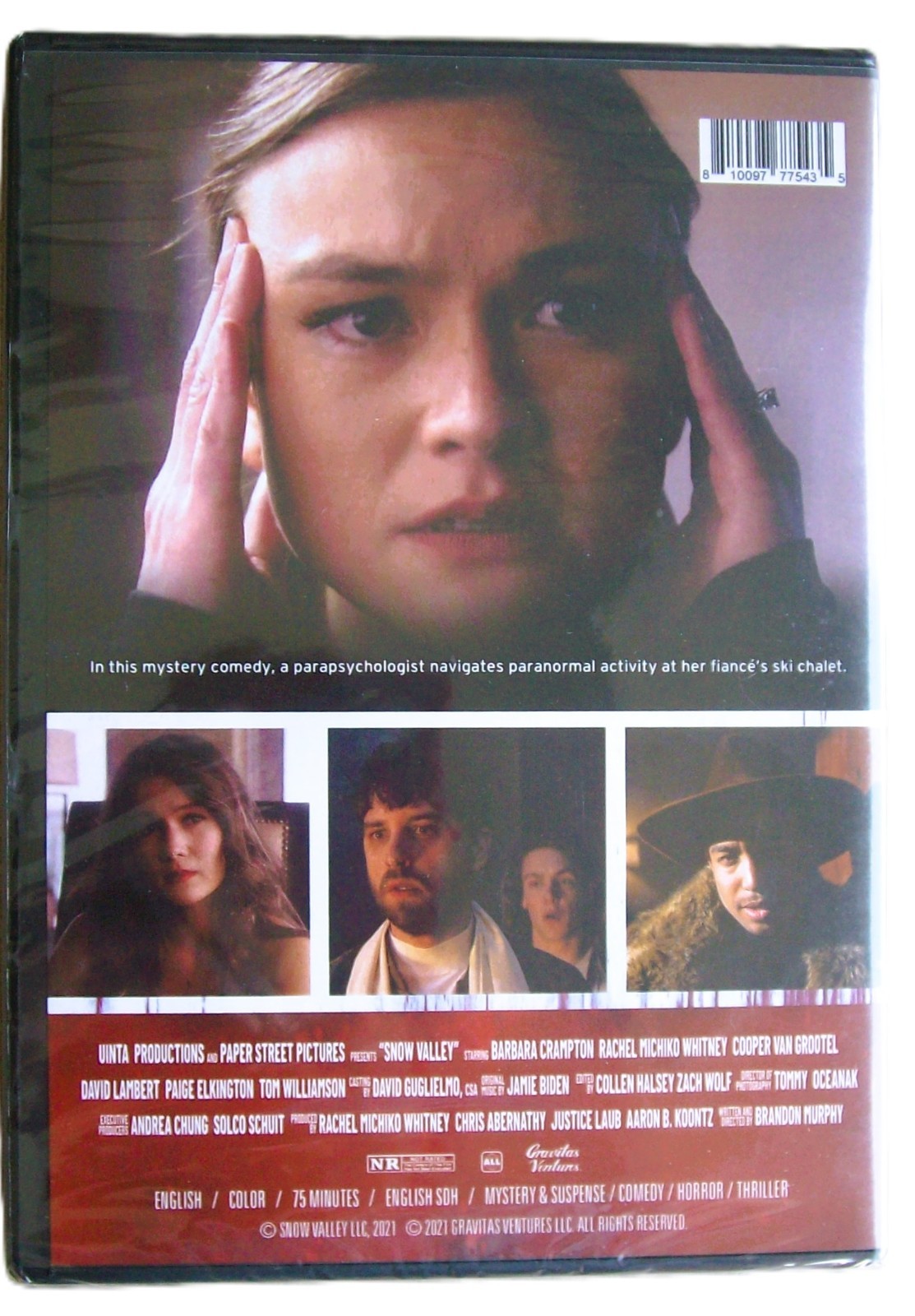 Snow Valley – Brandon Murphy Psychological Thriller (DVD, 2021, All Region)