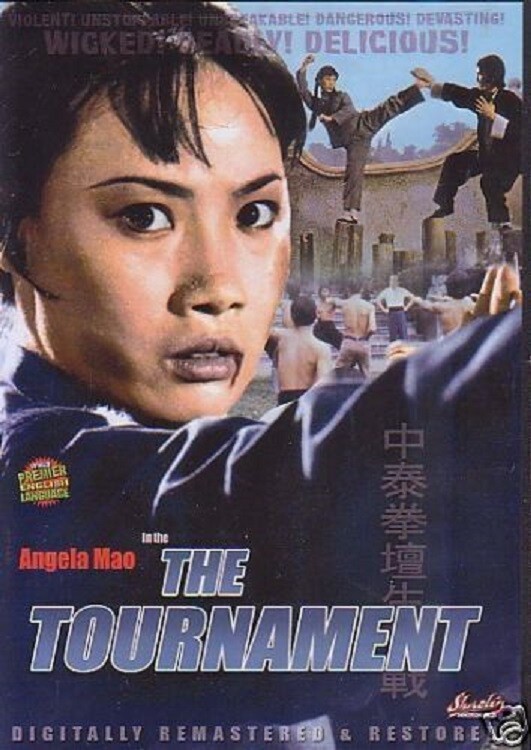 THE TOURNAMENT -Hong Kong RARE Kung Fu Martial Arts movie -14A