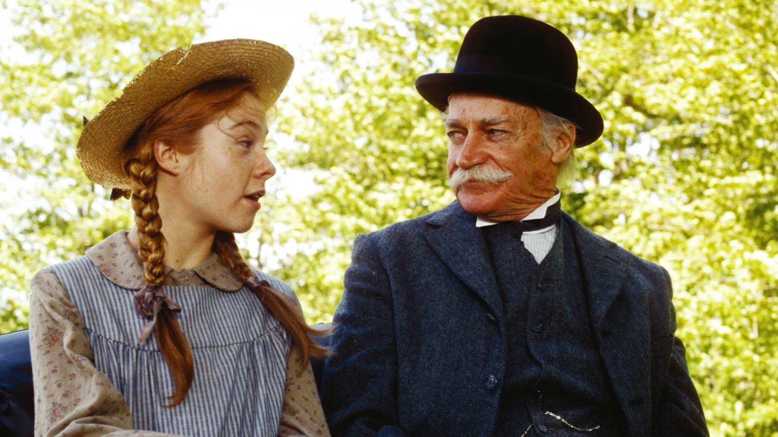Anne of Green Gables (Five-Disc Collector’s Edition) (DVD, 2000)