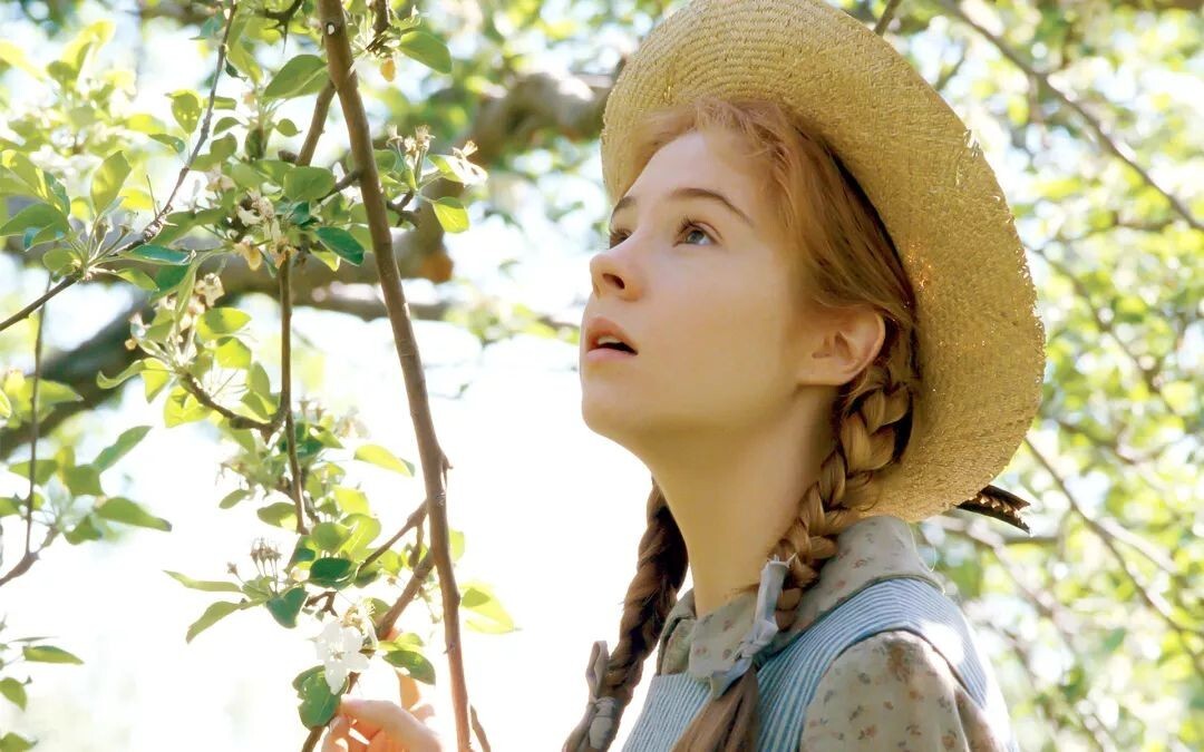Anne of Green Gables (Five-Disc Collector’s Edition) (DVD, 2000)